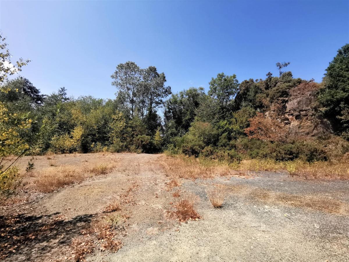 Domaine Lvd Avec Spa, Bois Et Riviere Privee La Bloutiere Exterior foto